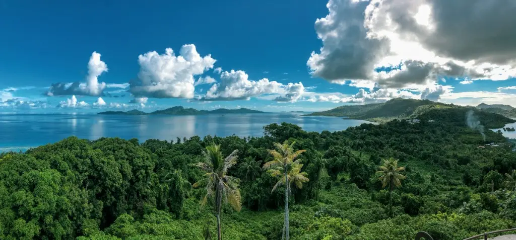 Tropical island landscape in Micronesia, with dense green hills and surrounding ocean